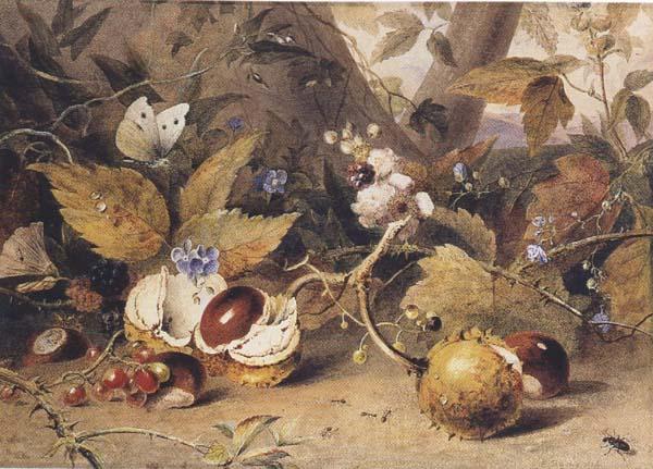 Elizabeth Byrne Still-life with horse chestnuts and insects (mk47) Norge oil painting art